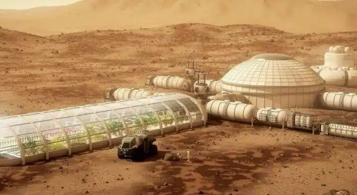 Можно ли вырастить картошку на Марсе?