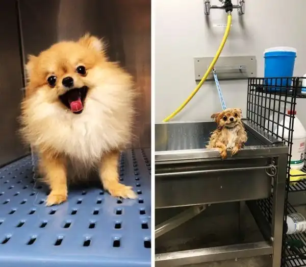 Позитивная подборка от неисправимых оптимистов