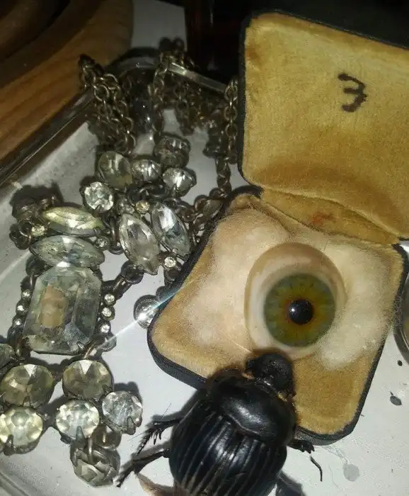 18 самых интересных вещей, которые люди когда-либо находили на барахолке