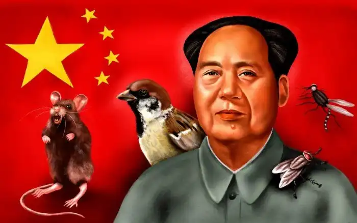 Куда пропали воробьи в 1950-х гг в Китае и к чему это привело