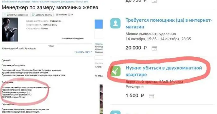 Убойные объявления из серии "Работа мечты", которые заставляют полюбить этот мир