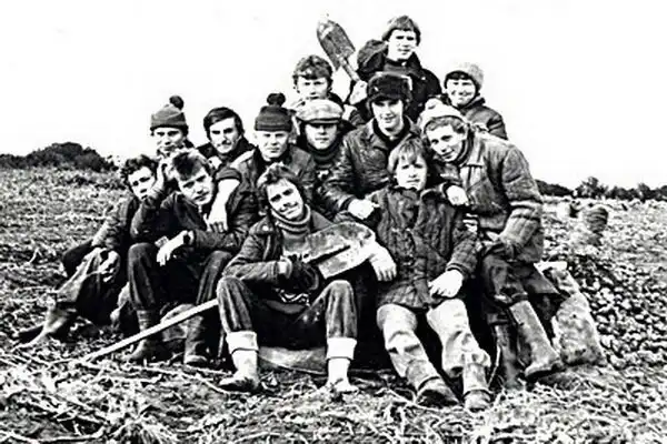 На картошку! Сейчас это вспоминается даже с теплотой