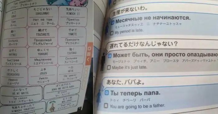 В школе такому не научат: Уроки иностранного языка для взрослых