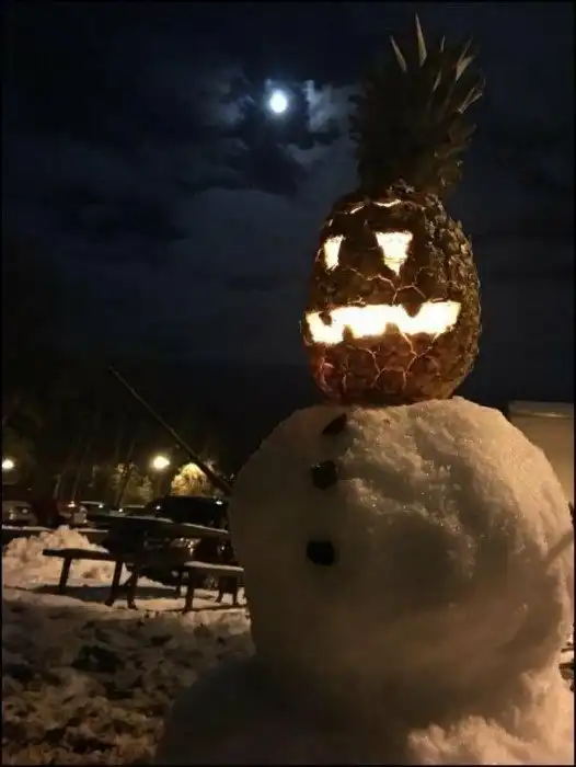 20 неожиданных ситуаций, которые не могли произойти, но произошли