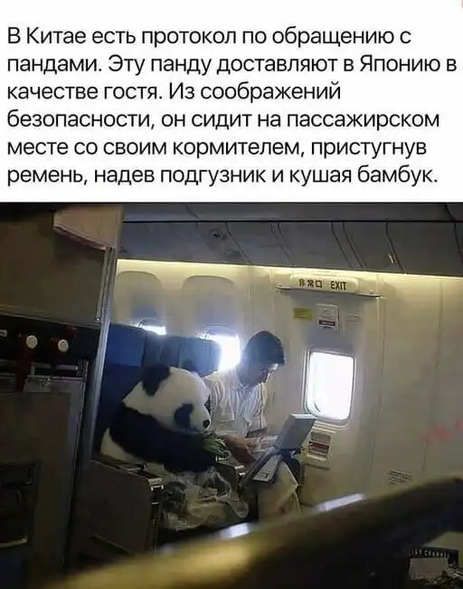 Боремся с фейками