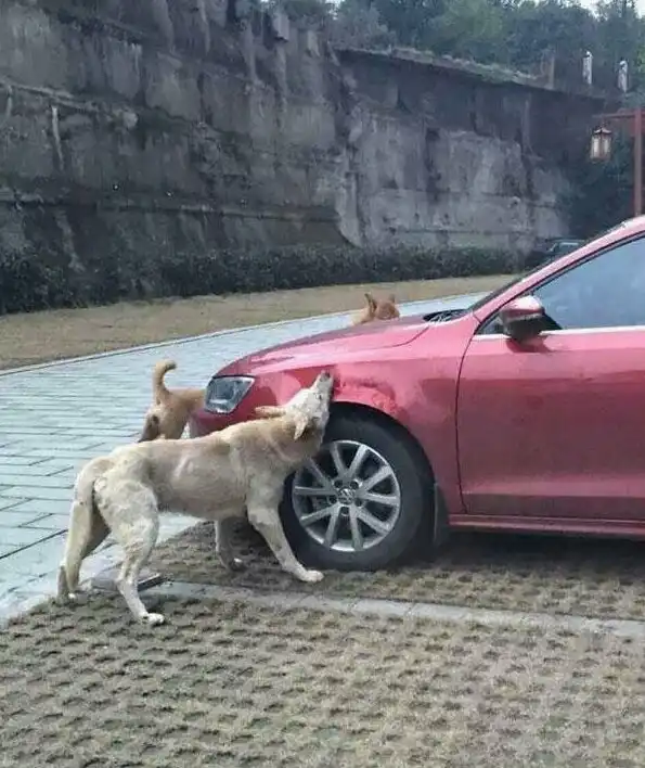 15 эпичных ситуаций, которые не хотелось бы испытать на собственной шкуре