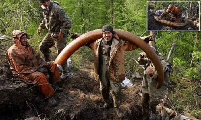 Черные копатели достают состояния из якутской мерзлоты