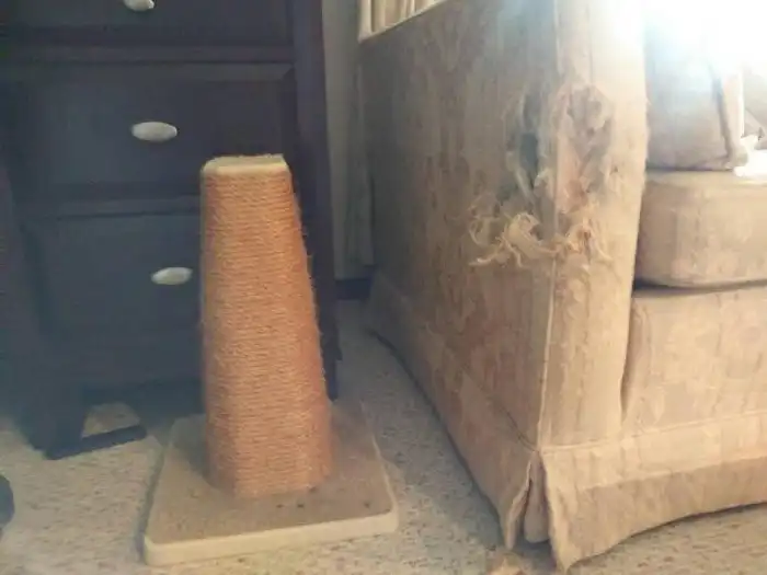 15 отпетых наглецов, для которых правила приличия - пустой звук