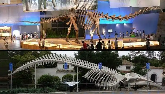 «Закон Копа»: Почему динозавры были такими большими