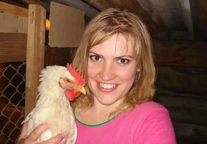 Откуда появились курицы? Ведь такие птицы не могли выжить в дикой природе