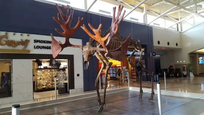 Олень-лось: Гигантский монстр, которого изничтожили наши предки