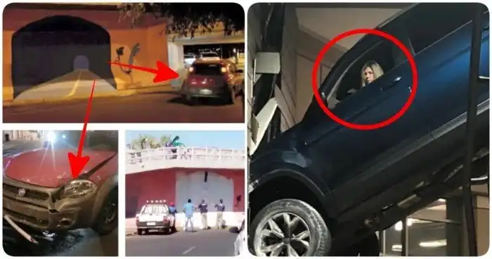 13 идиотских ДТП, случившихся по вине недалеких водителей