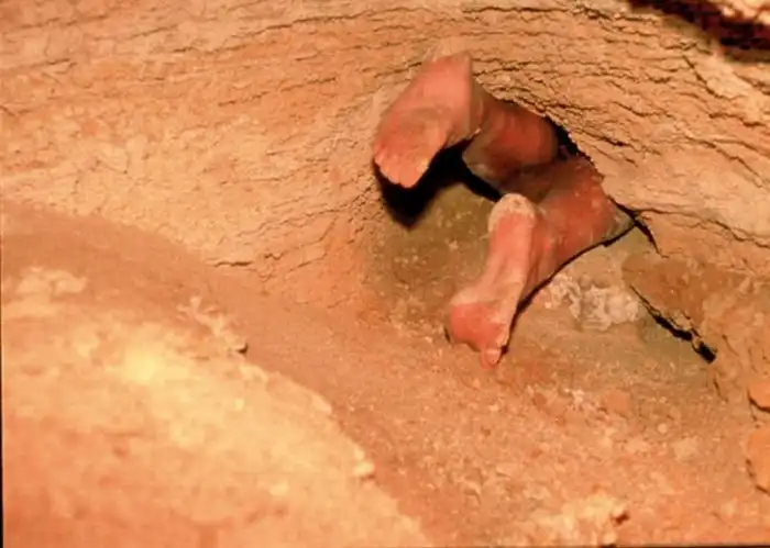 Фауна пещеры Мовиле: Как прожить в карантине 500 тысяч лет