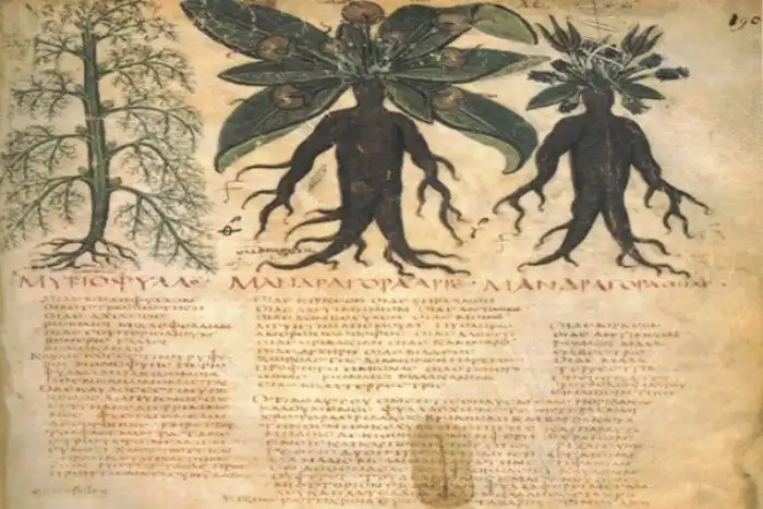 Жизнь без боли: История наркоза