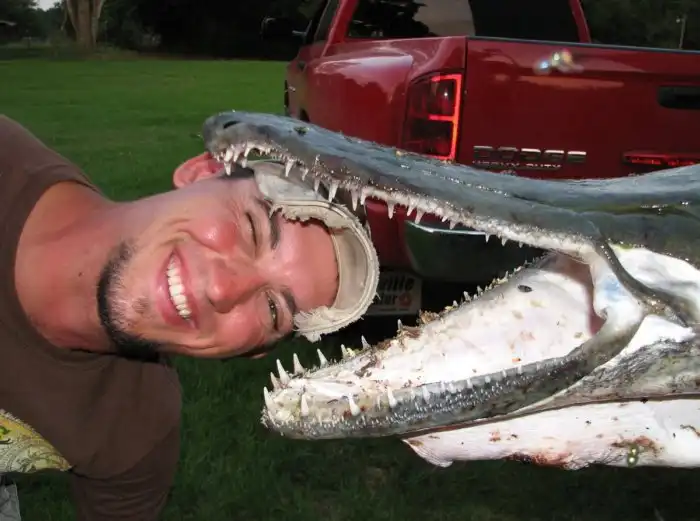 Щука-аллигатор: Сверххищник в 150 кг. Речной демон Запада