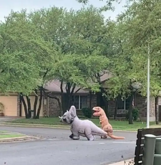 Жизнь во время карантина: народный креатив