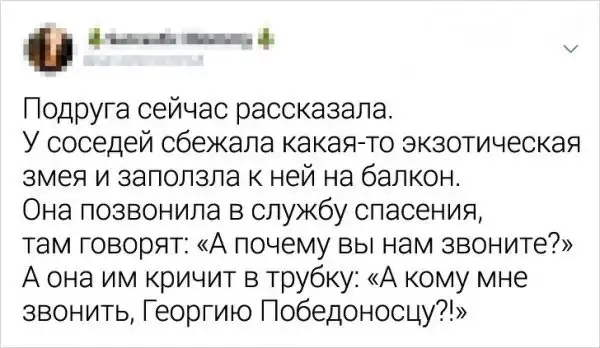 Подборка забавных твитов