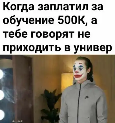 С ума сходят все: шутки про дистанционное обучение