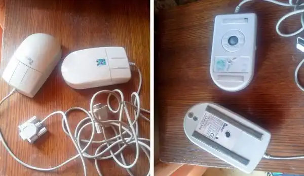 Подборка семейного юмора