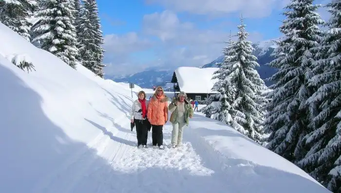 7 причин, почему мы толстеем зимой