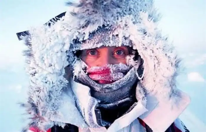 7 причин, почему мы толстеем зимой