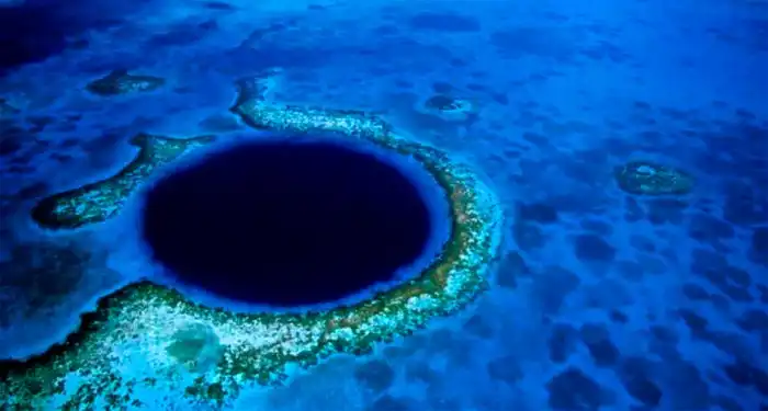 Что находится на дне Марианской впадины?