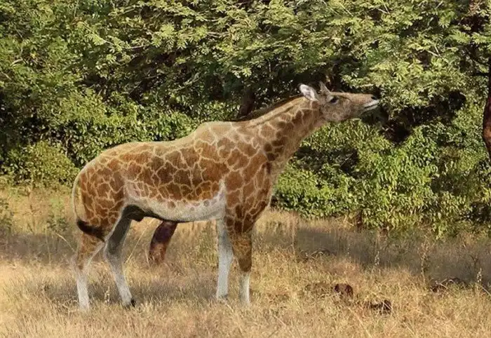 Будут ли дети умнее, если родители учатся?