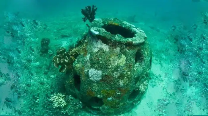 Мусорный риф: Как гнилая помойка превратилась в богатейшую экосистему всем назло