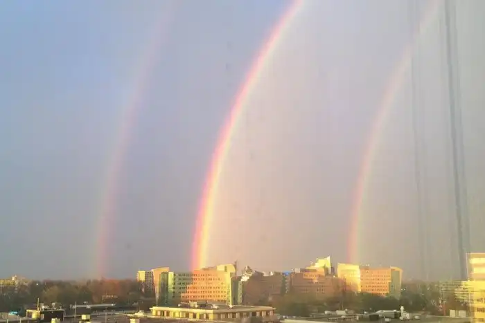 15 тревожных звоночков, которые предупреждают, что истина где-то рядом