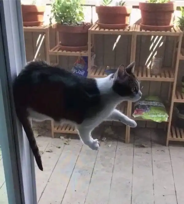 Фотографии, в которые нужно присмотреться