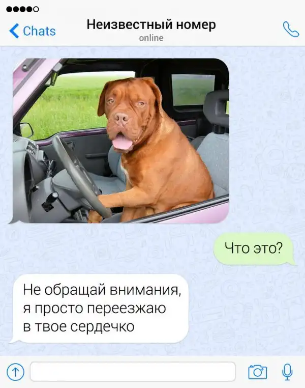 Подборка провальных попыток познакомиться через СМС