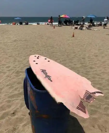 17 укусов акул, после которых было страшно, обидно, но не больно