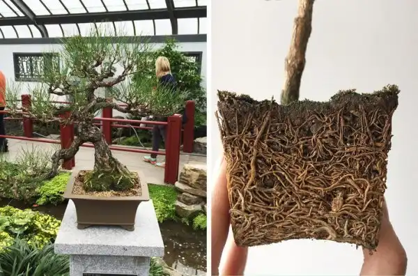 Интересные вещи и явления, которые мало кто видел