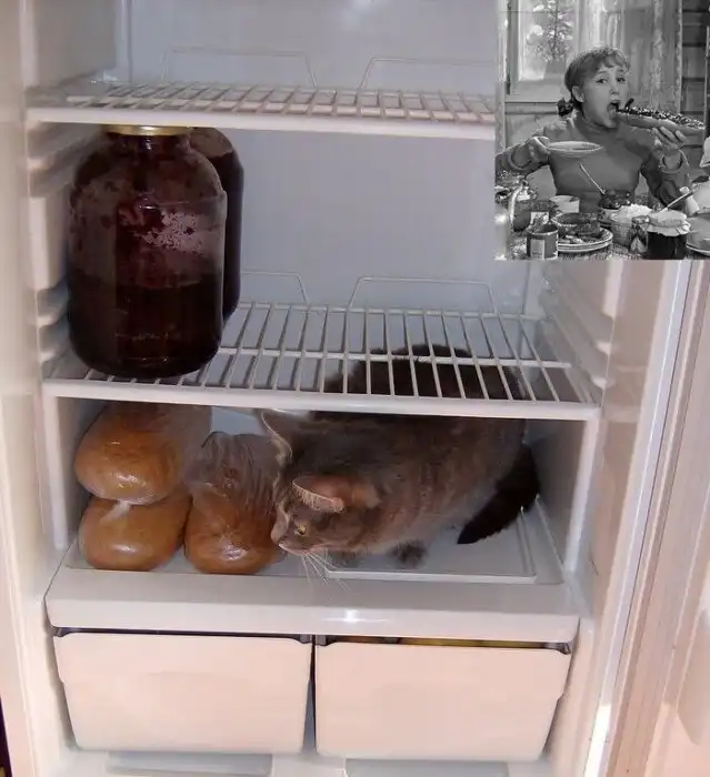 Что делают симпатичные девушки на самоизоляции