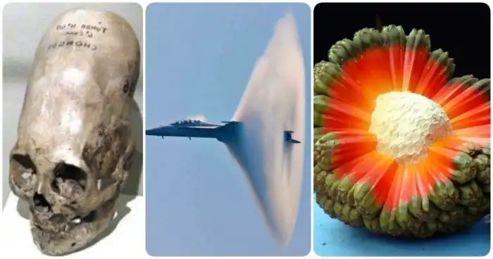 15 залипательных фото, показывающих, насколько интересен и уникален наш мир