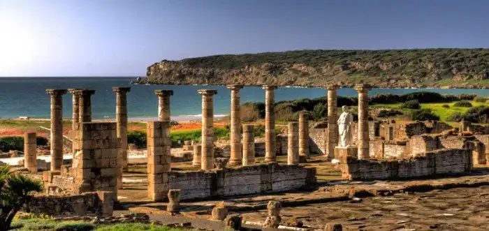 Плиний Старший оказался прав — в Средиземном море водились киты