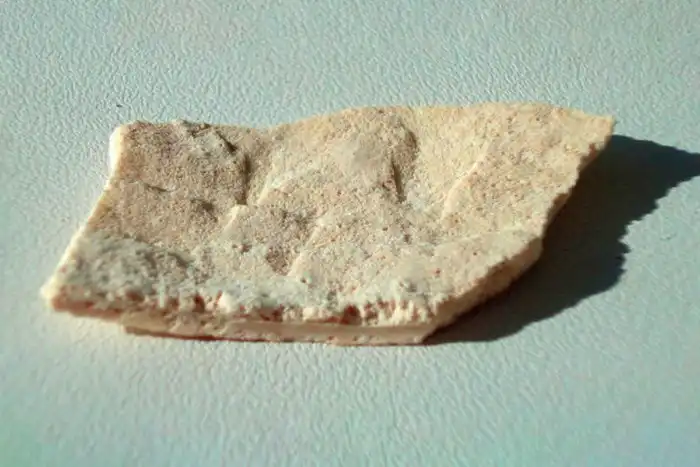 Опасна ли накипь из чайника для человека