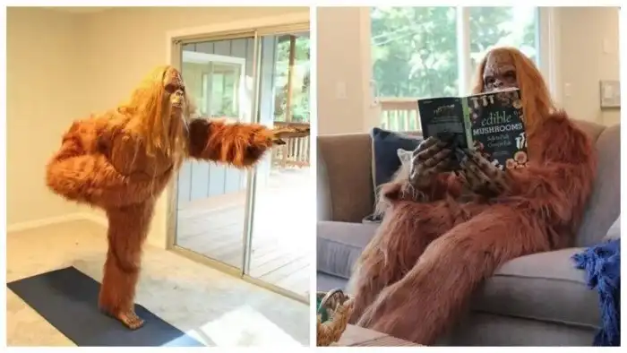 В Калифорнии объявился снежный человек