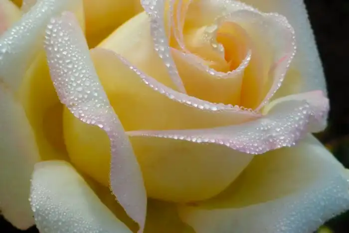 Почему клей не склеивается внутри тюбика?