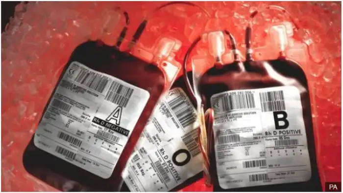 Неожиданные открытия и истории из мира науки