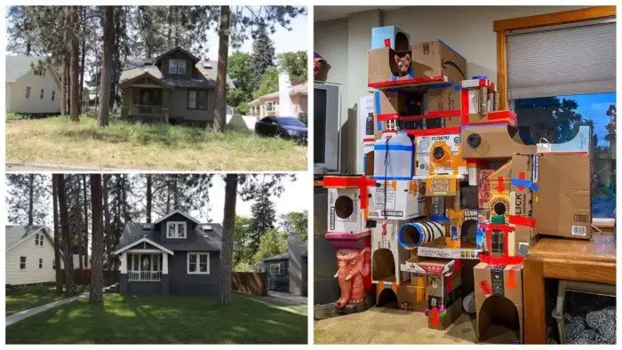 Наконец-то дошли руки: 30 проектов, осуществленных людьми на карантине