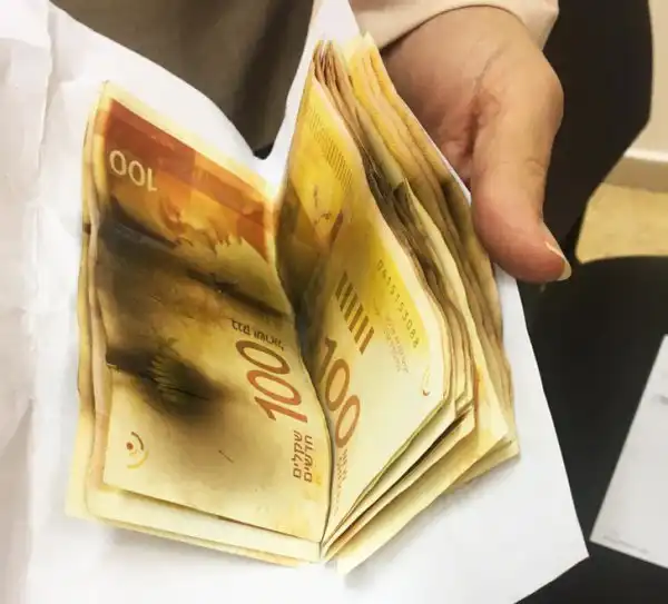 Тред в соцсетях: "Что будет если..."