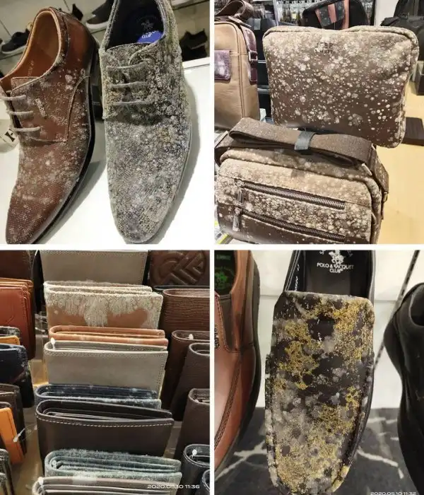 Тред в соцсетях: "Что будет если..."