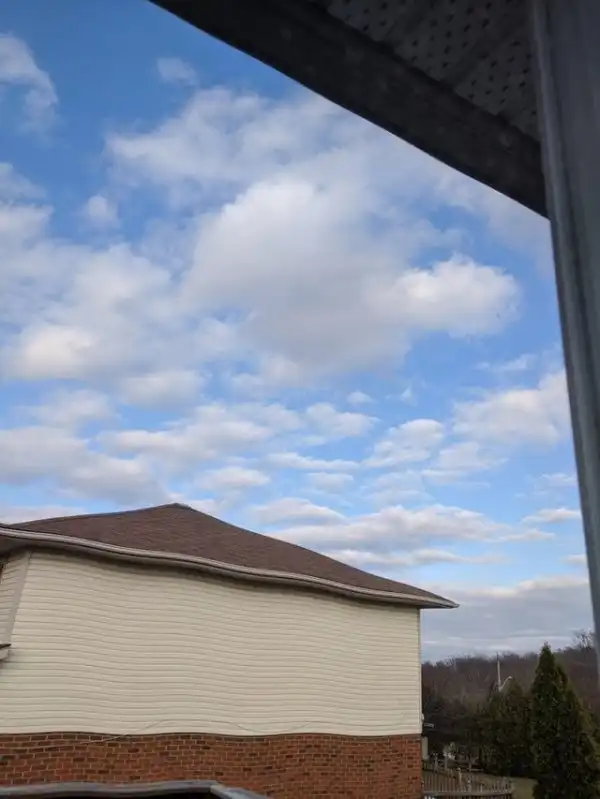 Тред в соцсетях: "Что будет если..."