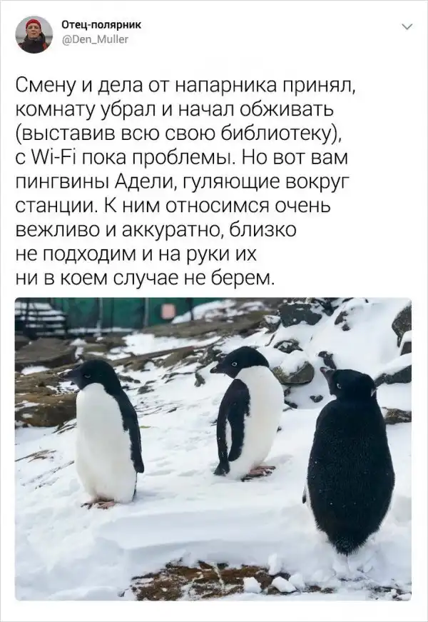 Подборка интересных твитов от полярника, который рассказал о жизни в Антарктиде