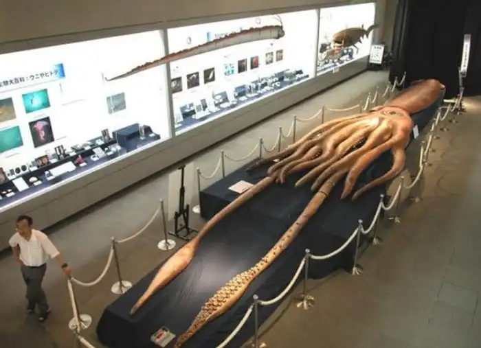 3 мифических животных, которые оказались правдой