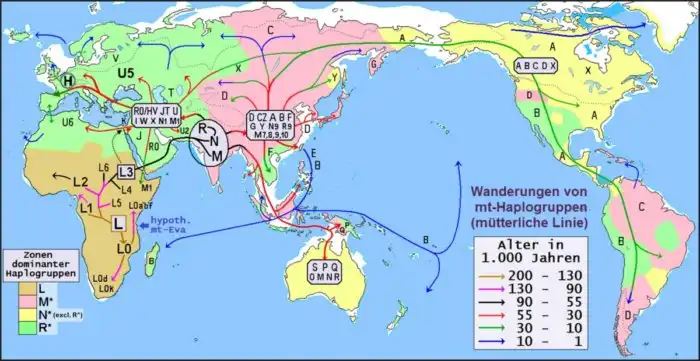 Человек: Ключевые отличия, породившие вот это вот всё