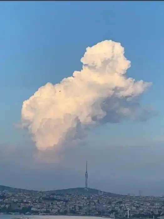 Свежачки из серии "Показалось", или как мозг опять не дает нам скучать