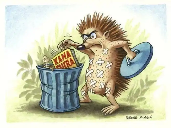 Как размножаются ёжики?