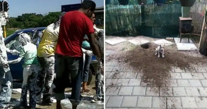 15 дурацких происшествий, которые заставят психовать кого угодно